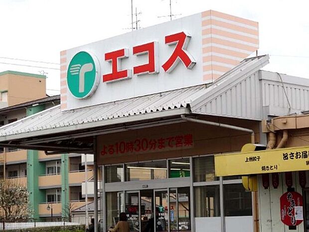 エコスTAIRAYA川鶴店まで1196m