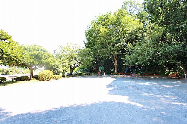 長津田第三公園　距離約850m