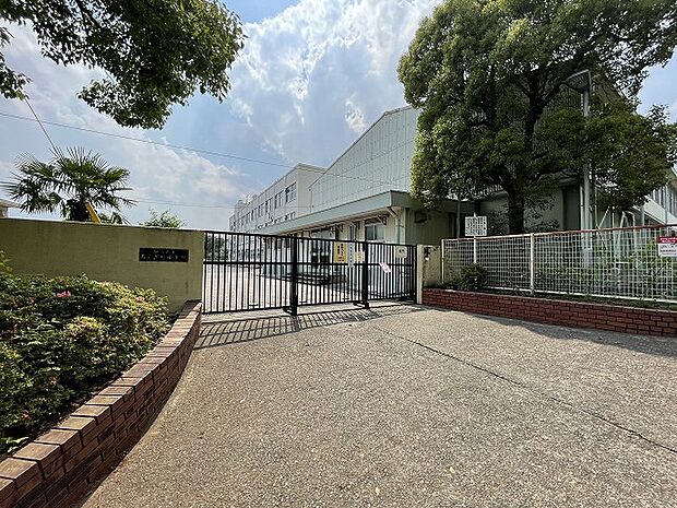 横浜市立もえぎ野小学校まで約200m