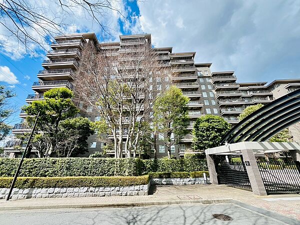 外観：313004594143