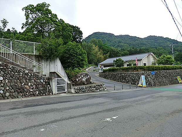 県立津久井湖城山公園　距離約1000m