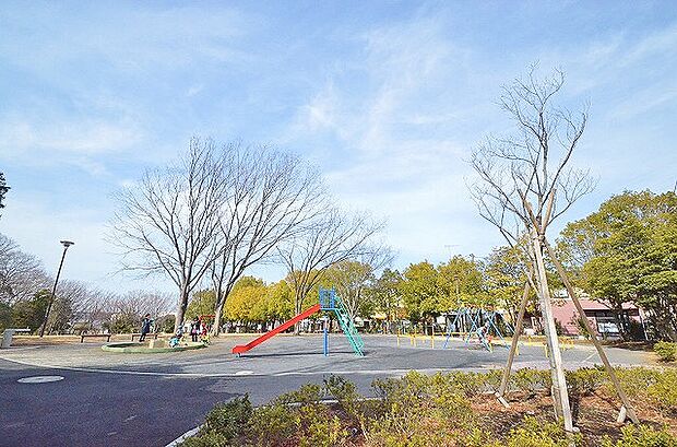 王禅寺公園 距離約350m