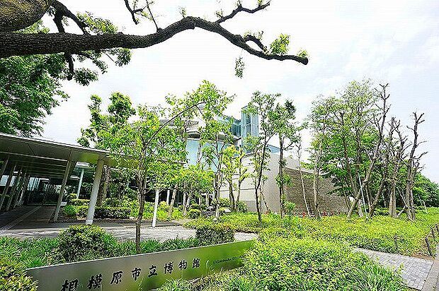 相模原市立博物館　距離約1300m