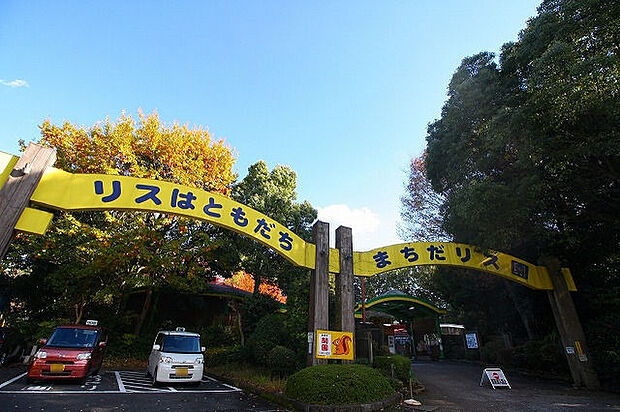 町田リス園 距離約350m