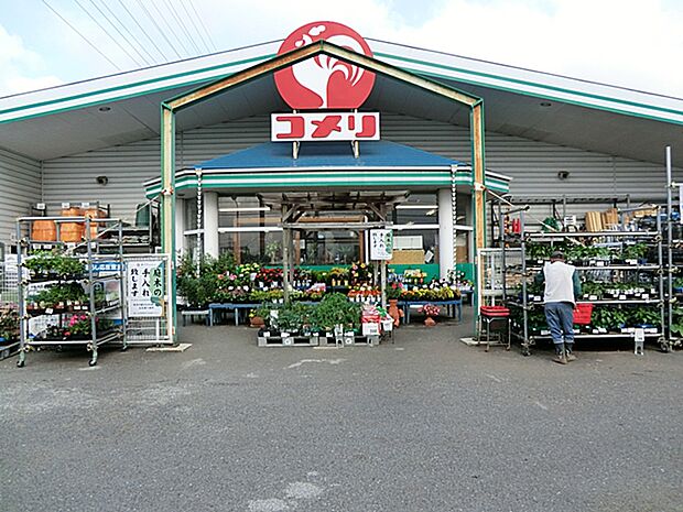 コメリハード&グリーン 藤沢用田店 距離約1900m