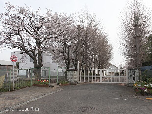 綾瀬市立綾瀬中学校まで約1200m