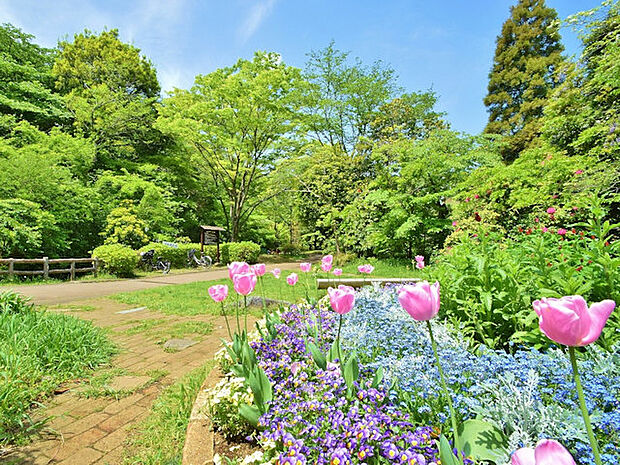 芹ヶ谷公園 距離約350m