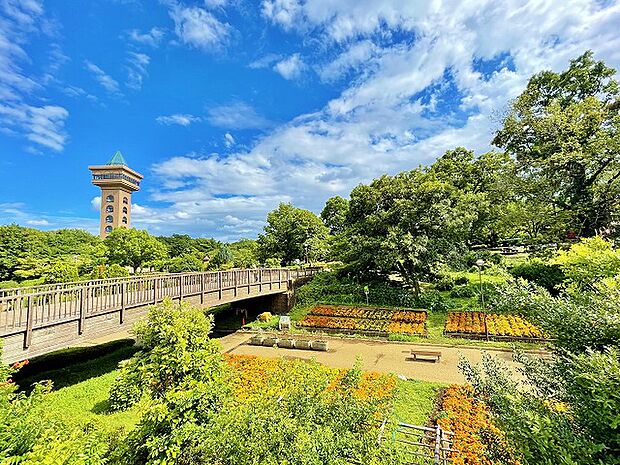 相模原麻溝公園　距離約2200m