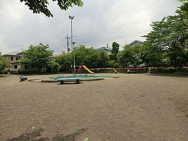 若葉台カタクリ公園　距離約600m