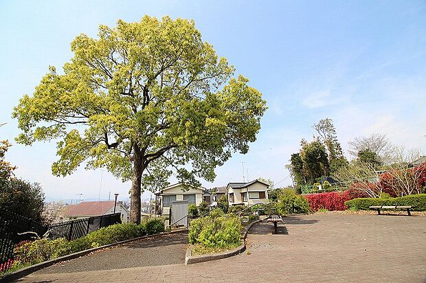 小山見晴しの丘公園　距離約450m