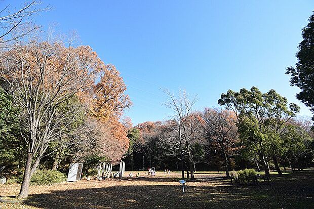 葉積緑地　距離約300m