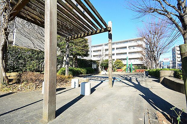 中央5丁目公園　距離約550m