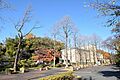 町田市立国際版...