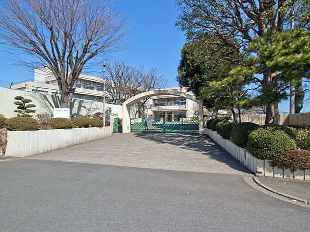 相模原市立若松小学校　距離約480m