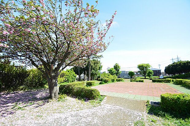 浜田歴史公園まで約500m