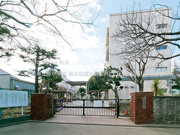 横浜市立原小学校 1580m