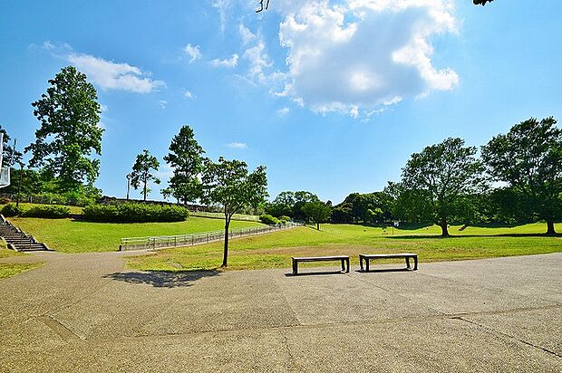 岸根公園 距離約1600m