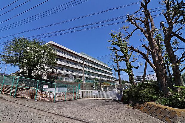 横浜市立善部小学校 距離約450m