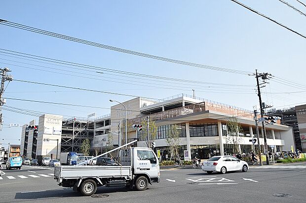 アピタ 横浜綱島店 距離約950m