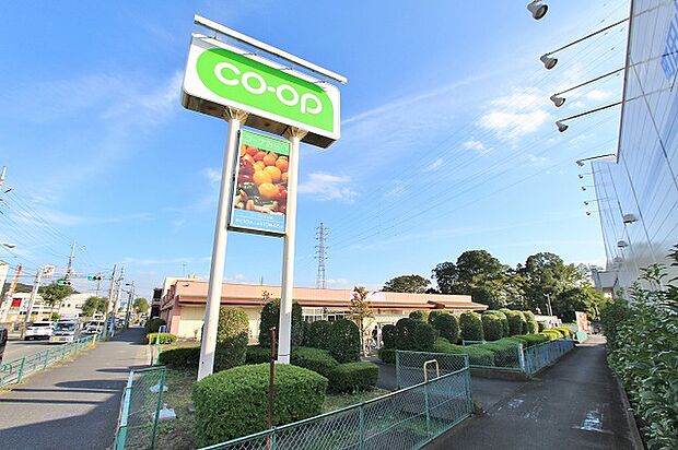 コープみらい　コープときわ店　距離約600m