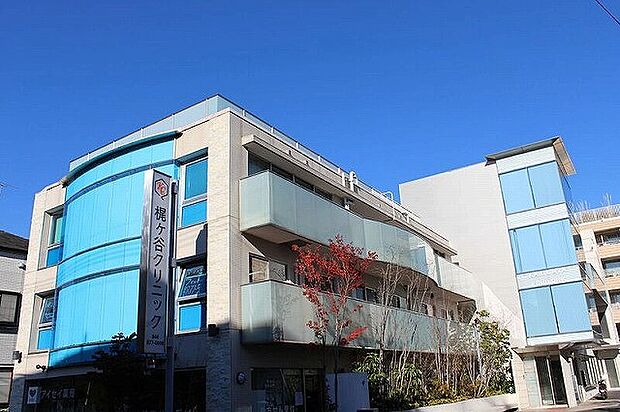 梶ヶ谷クリニック 距離約500m