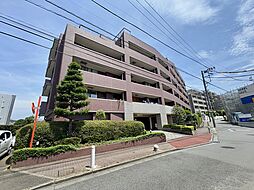 サンヴェール市が尾の丘