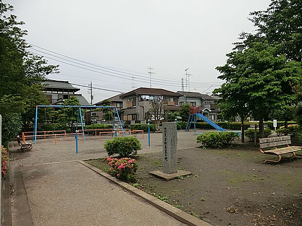 原宿南第1公園 距離約500m