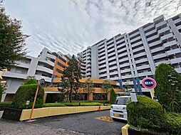 カウンテスコート