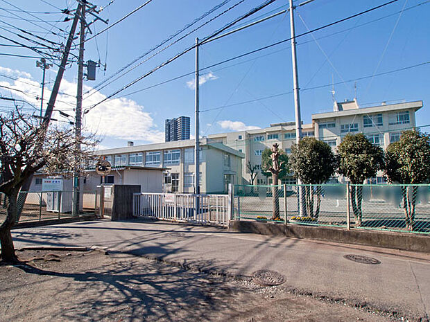 相模原市立谷口中学校 距離約250m