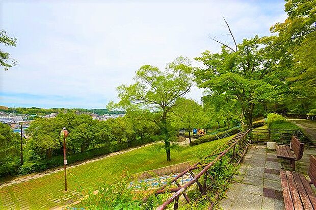 梶川公園 距離約250m