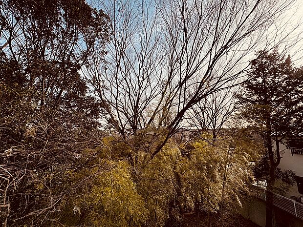 高い建物もないので、バルコニーからの眺望も良好です