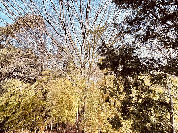 眺望も良く晴れの日のお洗濯も気持ちよくできますね