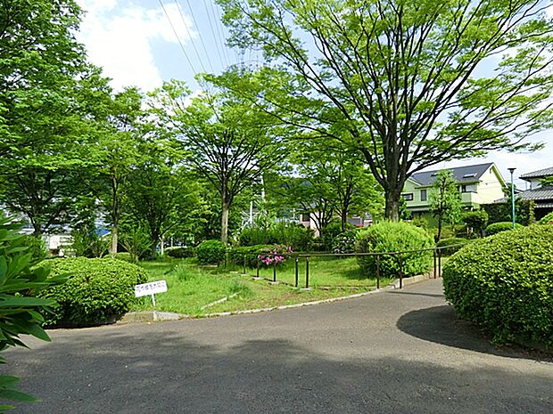たちばな公園　距離約550m