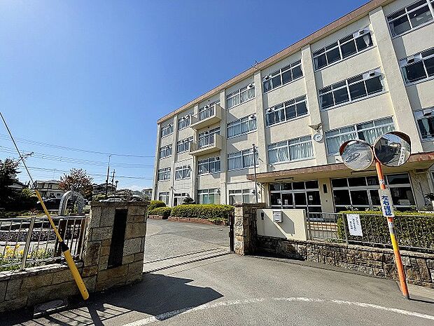 八王子市立第七中学校　距離約350m