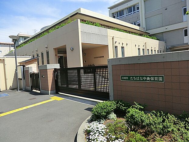 たちばな中央保育園 距離約900m