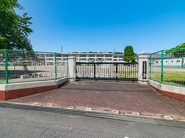 八王子市立第十小学校まで約1000m