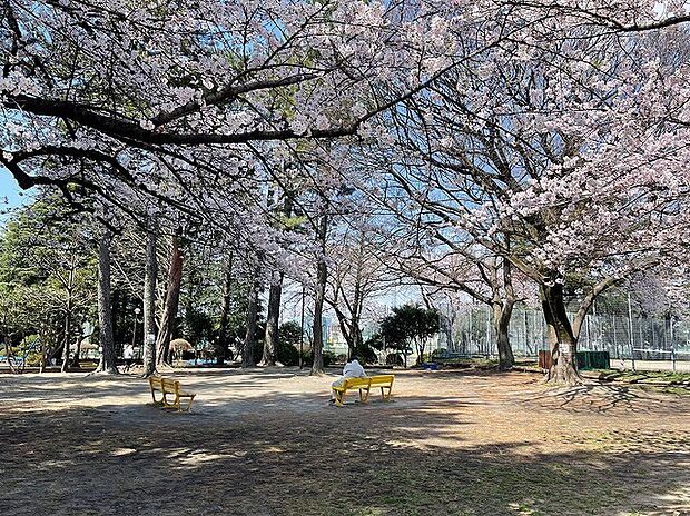 相模台公園　距離約650m