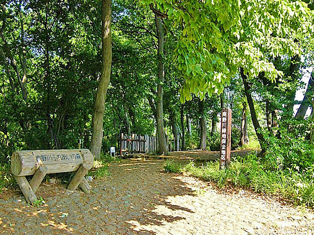 南野川ふれあいの森 距離約600m