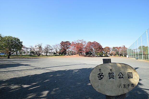 多賀公園まで約1300m