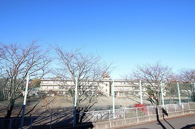 相模原市立当麻田小学校 距離約300m