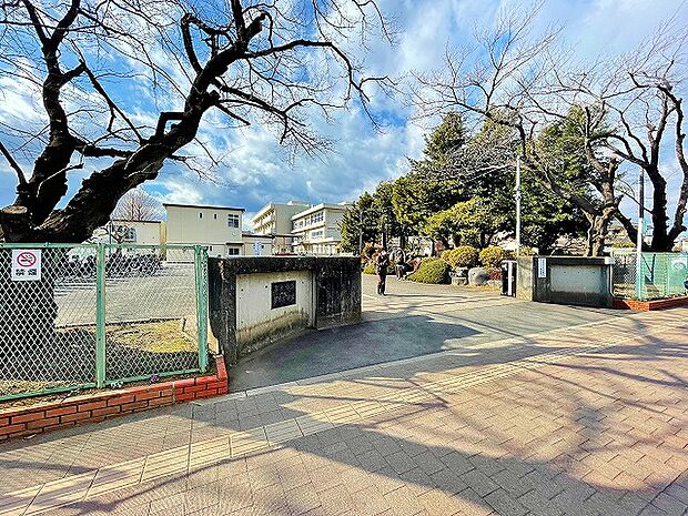 厚木市立厚木中学校 距離約800m