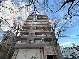 サンアリーナ相模原西門桜通り