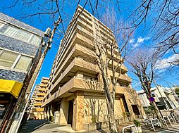 サンアリーナ相模原西門桜通り