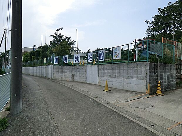 横浜徳風幼稚園　距離約1500m