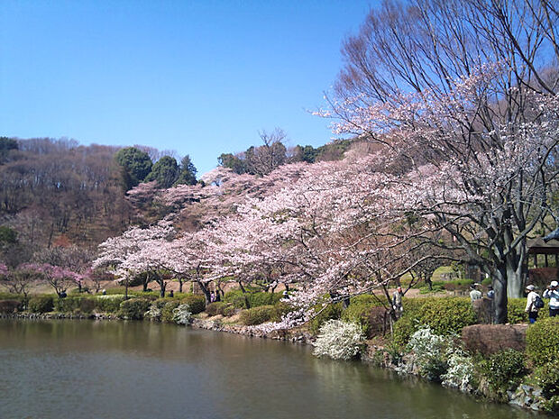 薬師池公園 距離約1000m