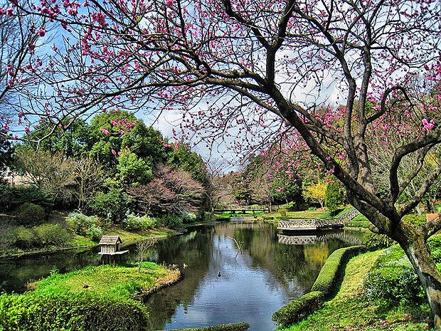 道保川公園 距離約500m
