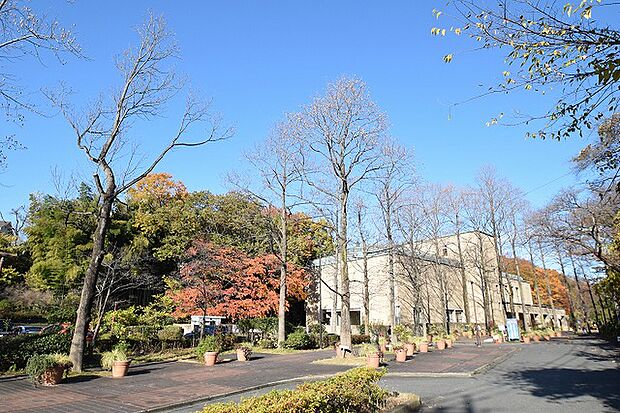 町田市立国際版画美術館 距離約600m