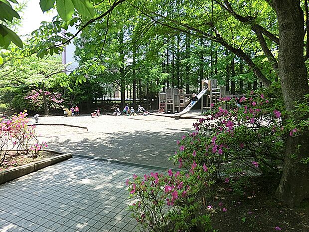 平尾近隣公園まで約800m