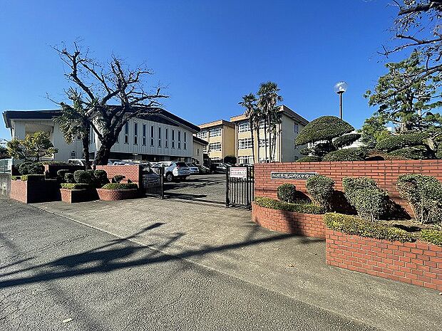 相模原市立大沢中学校　距離約1800m