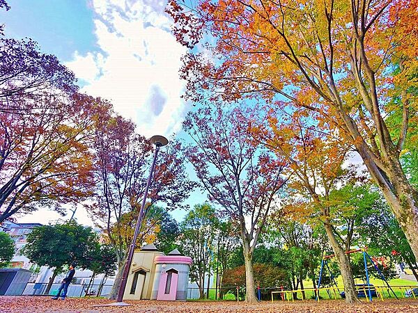 南生田公園　距離約700m